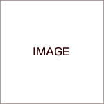 iԍ t0011 CHAMPION T-SHIRTS